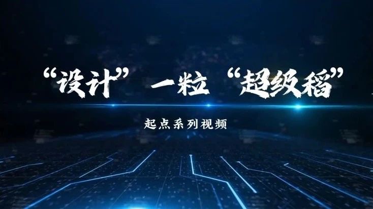 “设计”一粒“超级稻”︱起点︱中国科学院建院75周年