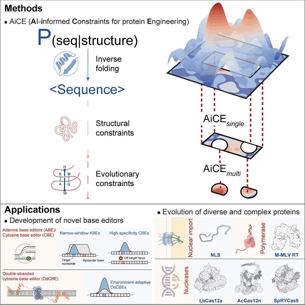 高彩霞团队成果入选2025年度“中国生物信息学十大进展”